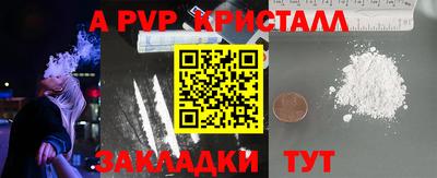 СК Волгодонск
